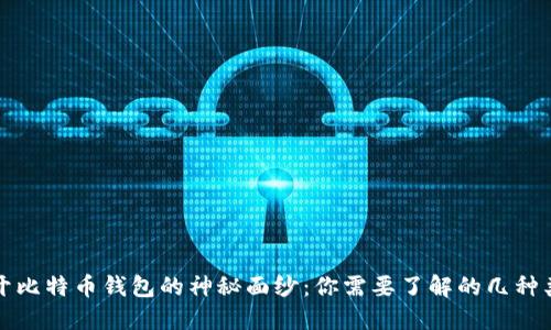 揭开比特币钱包的神秘面纱:你需要了解的几种类型
