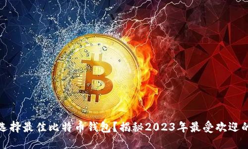 如何选择最佳比特币钱包？揭秘2023年最受欢迎的选项
