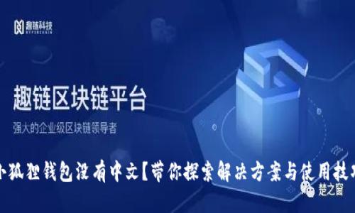 小狐狸钱包没有中文？带你探索解决方案与使用技巧