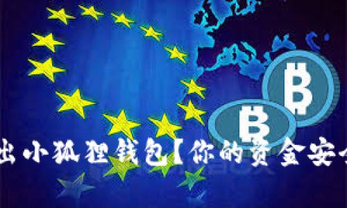 如何安全退出小狐狸钱包?你的资金安全,我来帮你!