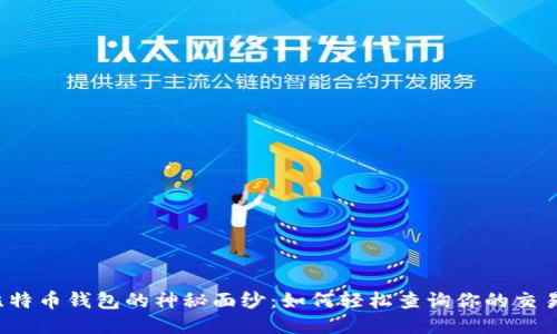 揭开比特币钱包的神秘面纱：如何轻松查询你的交易明细？