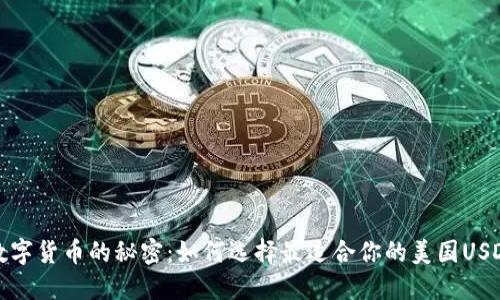 揭开数字货币的秘密:如何选择最适合你的美国USDT钱包