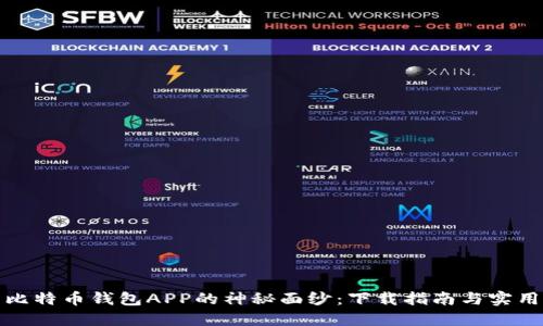揭开比特币钱包APP的神秘面纱：下载指南与实用技巧
