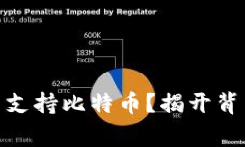 MetaMask是否支持比特币？揭开背后的真相与潜力