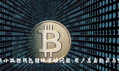 如何解决小狐狸钱包转账卡顿问题：用户亲身经历与实用技巧