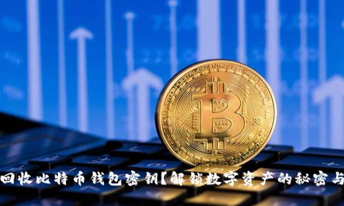 如何回收比特币钱包密钥？解锁数字资产的秘密与技巧