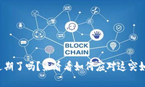 小狐狸钱包余额过期了吗？来看看如何应对这突如其来的财务困境！