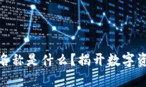 USDT钱包账户名称是什么？揭开数字资产存储的秘密！