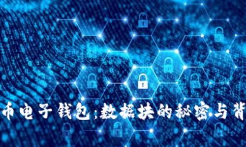 探索比特币电子钱包：数据块的秘密与背后的故事