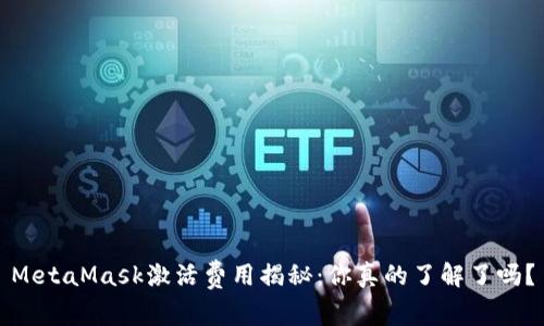 MetaMask激活费用揭秘：你真的了解了吗？