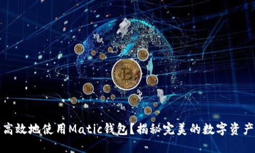 如何安全高效地使用Matic钱包？揭秘完美的数字资产管理技巧