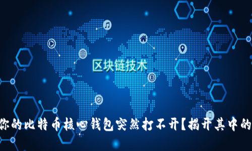 为何你的比特币核心钱包突然打不开？揭开其中的秘密！