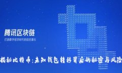 揭秘比特币：未知钱包转
