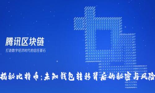 揭秘比特币：未知钱包转移背后的秘密与风险