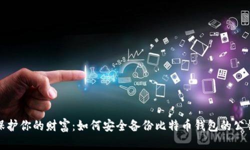 保护你的财富：如何安全备份比特币钱包的公钥