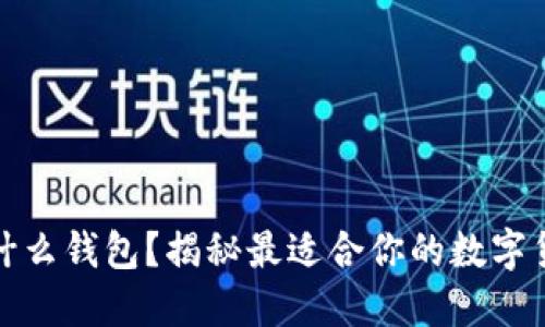 买狗狗币用什么钱包？揭秘最适合你的数字货币钱包选择