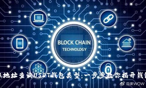 如何通过转账地址查询USDT钱包类型：一步步教你揭开钱包的神秘面纱