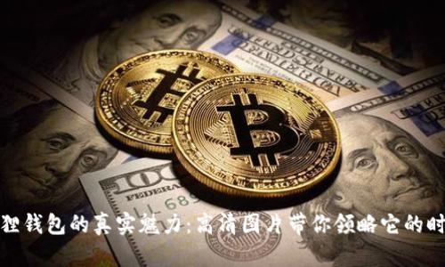 发现小狐狸钱包的真实魅力：高清图片带你领略它的时尚与优雅