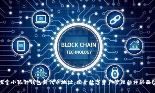 探索小狐狸钱包新代币地址，揭开数字资产管理的神秘面纱