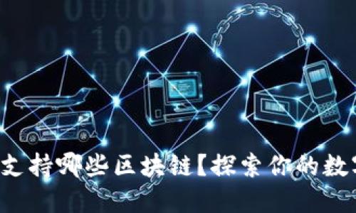 小狐狸钱包支持哪些区块链？探索你的数字资产之旅！