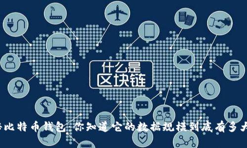 探秘比特币钱包：你知道它的数据规模到底有多大吗？