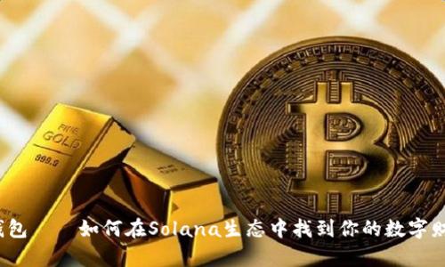 小狐狸钱包——如何在Solana生态中找到你的数字财富之路？