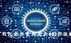 当比特币钱包文件变得庞