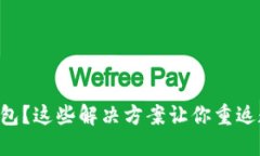 无法访问Token钱包？这些解