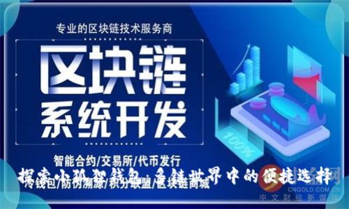 探索小狐狸钱包：多链世界中的便捷选择