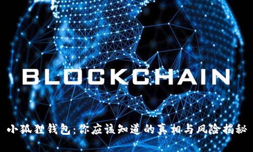 小狐狸钱包：你应该知道的真相与风险揭秘