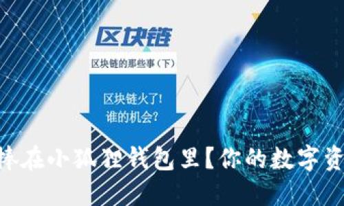 如何将NFT稳稳捧在小狐狸钱包里？你的数字资产安全守护秘籍