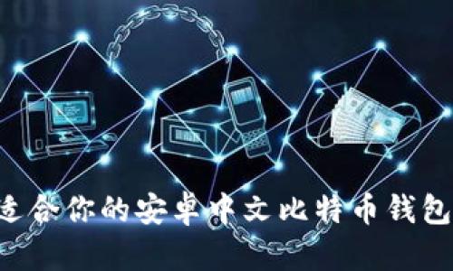如何选择适合你的安卓中文比特币钱包：全面指南