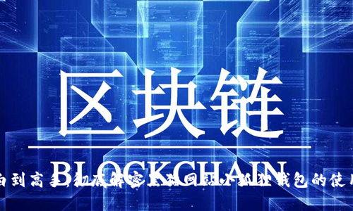 从小白到高手：彻底解密黑猫网站小狐狸钱包的使用技巧
