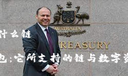 小狐狸钱包用什么链

揭秘小狐狸钱包：它所支持的链与数字资产管理的未来