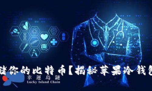 如何安全存储你的比特币？揭秘苹果冷钱包的最佳实践