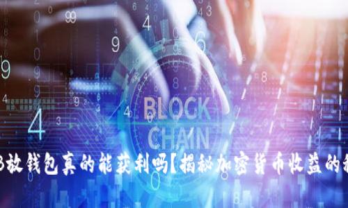 SHIB放钱包真的能获利吗？揭秘加密货币收益的秘密！
