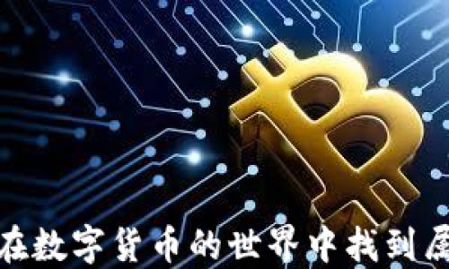 
小狐狸钱包：如何在数字货币的世界中找到属于你的那份安心？