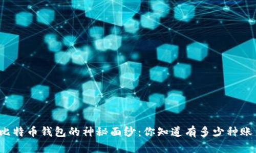 揭开比特币钱包的神秘面纱：你知道有多少种账户吗？