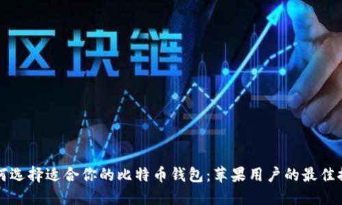 如何选择适合你的比特币钱包：苹果用户的最佳推荐