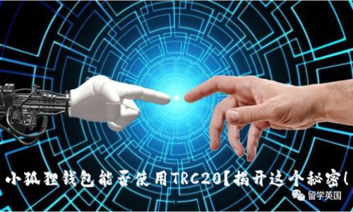 小狐狸钱包能否使用TRC20？揭开这个秘密！