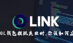 当SOL钱包提现失败时，你