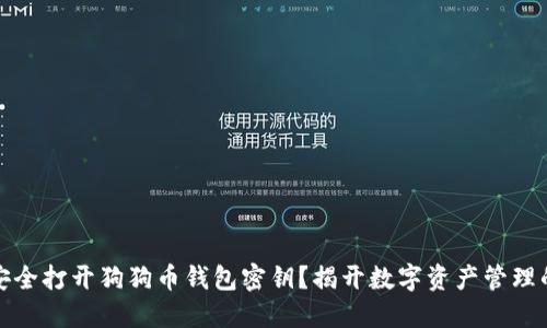如何安全打开狗狗币钱包密钥？揭开数字资产管理的秘密