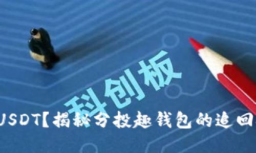 如何找回被盗的USDT？揭秘分投趣钱包的追回技巧与经验分享！
