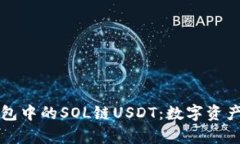 探索TP钱包中的SOL链USDT：