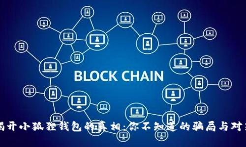 揭开小狐狸钱包的真相：你不知道的骗局与对策