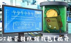警惕！假USDT能否转账到钱