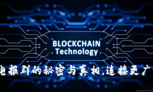 小狐狸钱包：探索电报群的秘密与真相，连接更广泛的数字资产社区