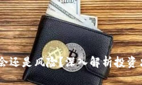 持有SHIB是机会还是风险？深入解析投资决策的思维方式