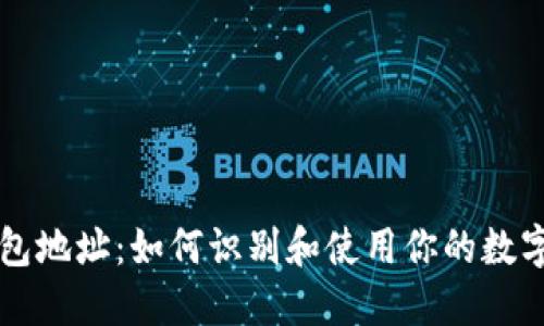 以太坊钱包地址：如何识别和使用你的数字资产账号