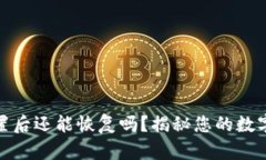 小狐狸钱包重置后还能恢